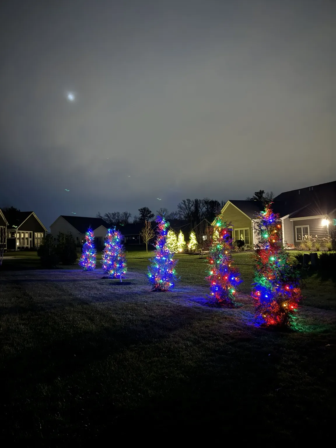 Tree and landscape lighting