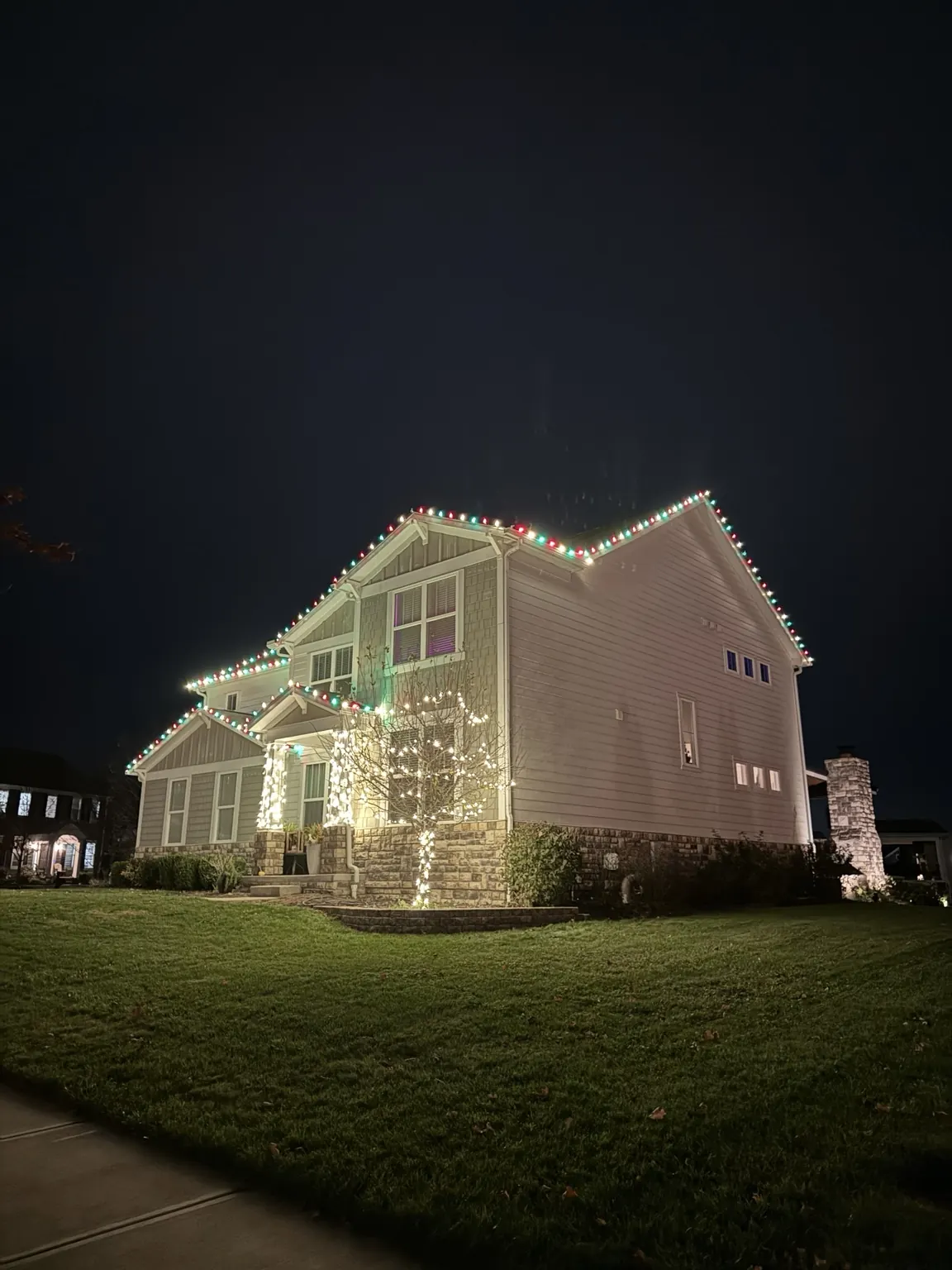 Professional holiday lighting display